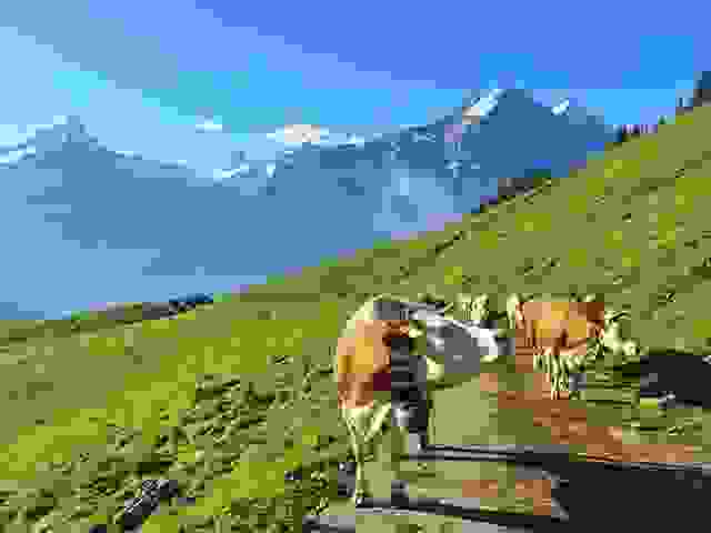 Alters- und Pflegeheim Grindelwald