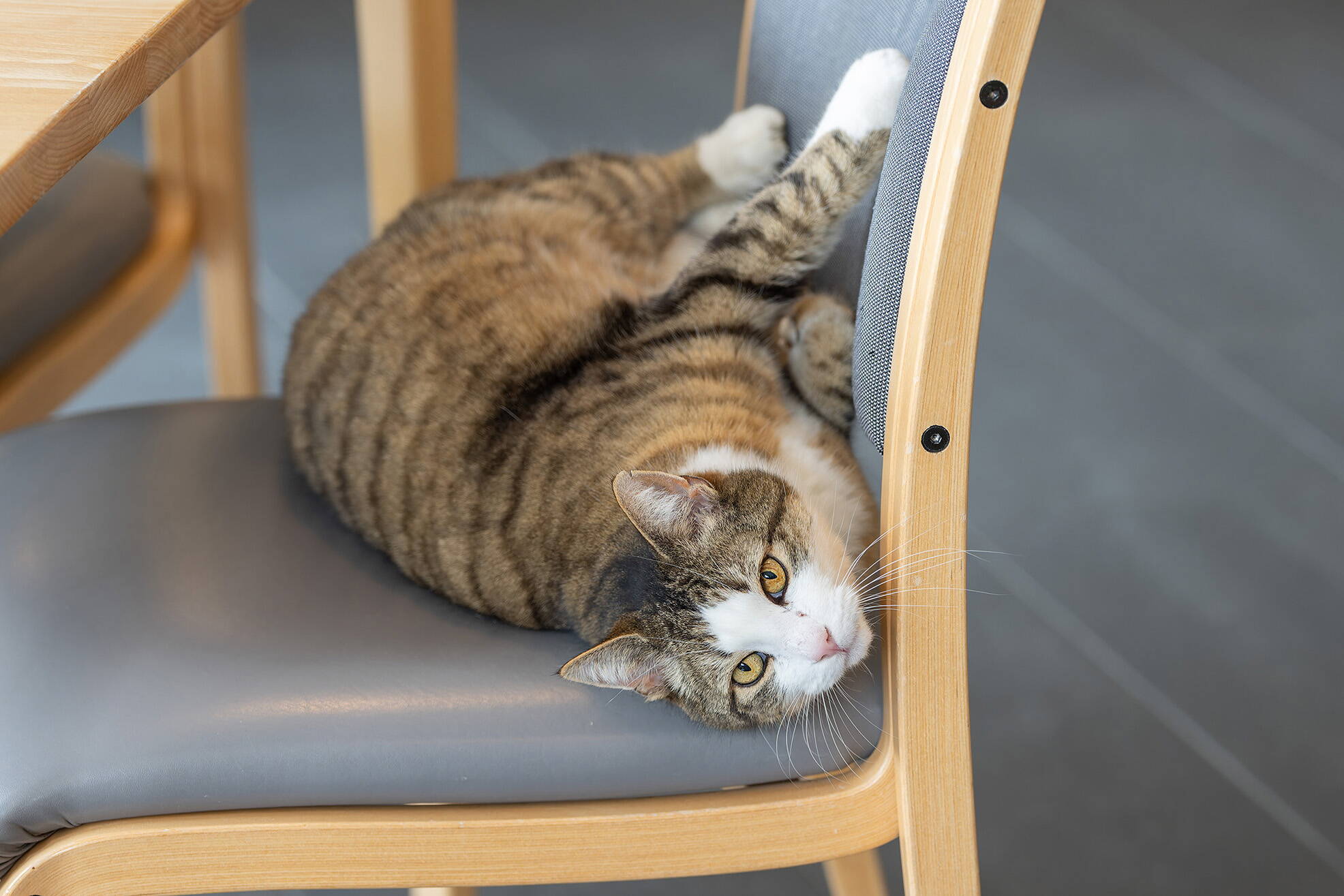 Alters- und Pflegeheim Grindelwald